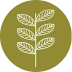 Green and Paper