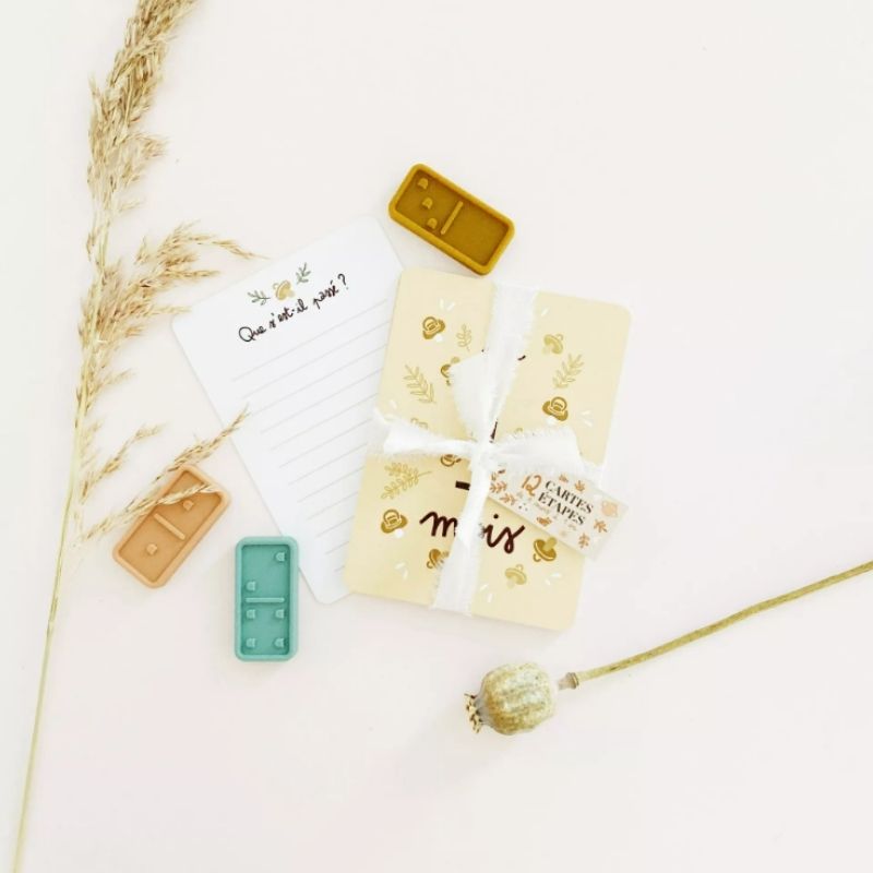 Cartes Etapes pour Bébé