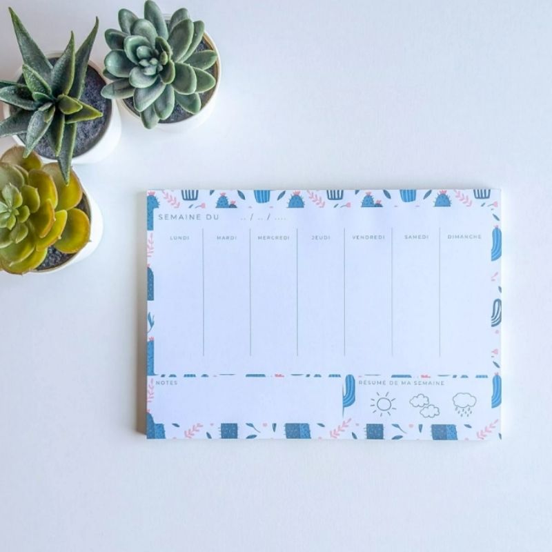 Mini Planner Semainier Cactus