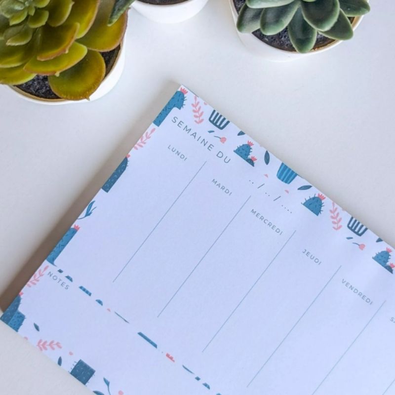 Mini Planner Semainier Cactus