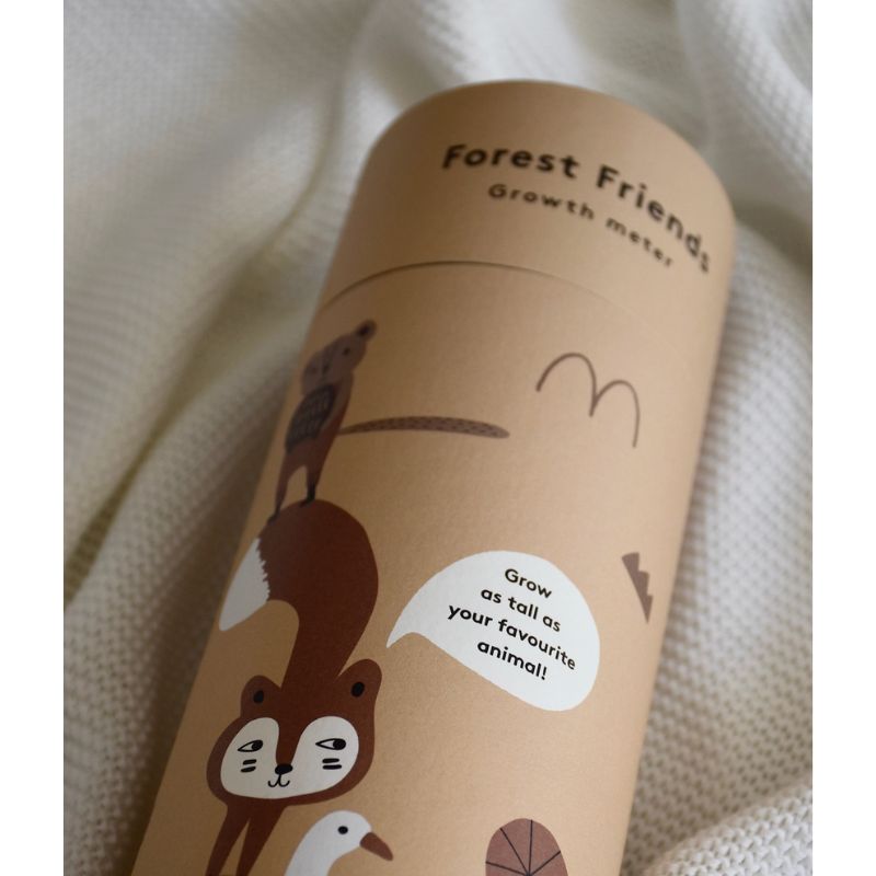 Toise Enfant – Les Petits Animaux